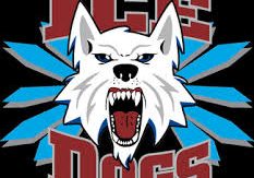 Ice Dogs hockey